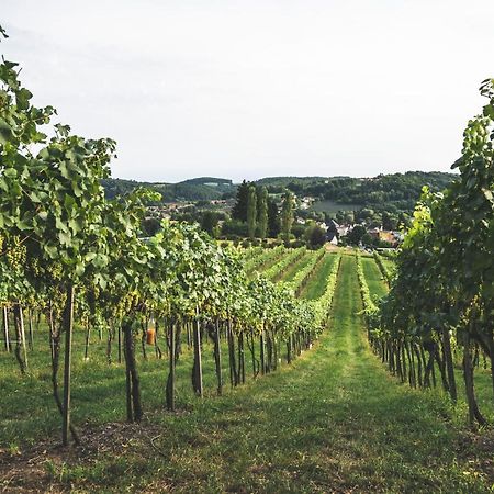 Wein & Gaestehof Erlacher Hartmannsdorf Buitenkant foto