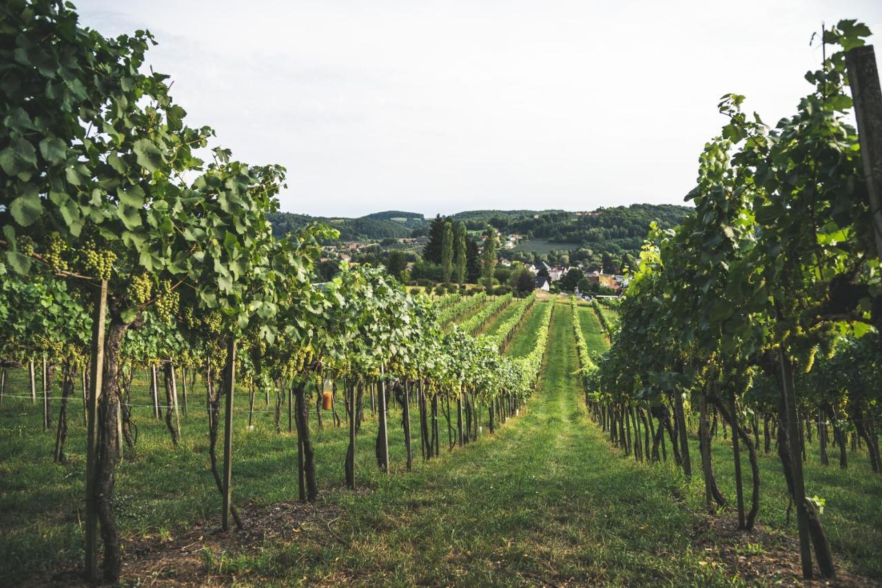 Wein & Gaestehof Erlacher Hartmannsdorf Buitenkant foto