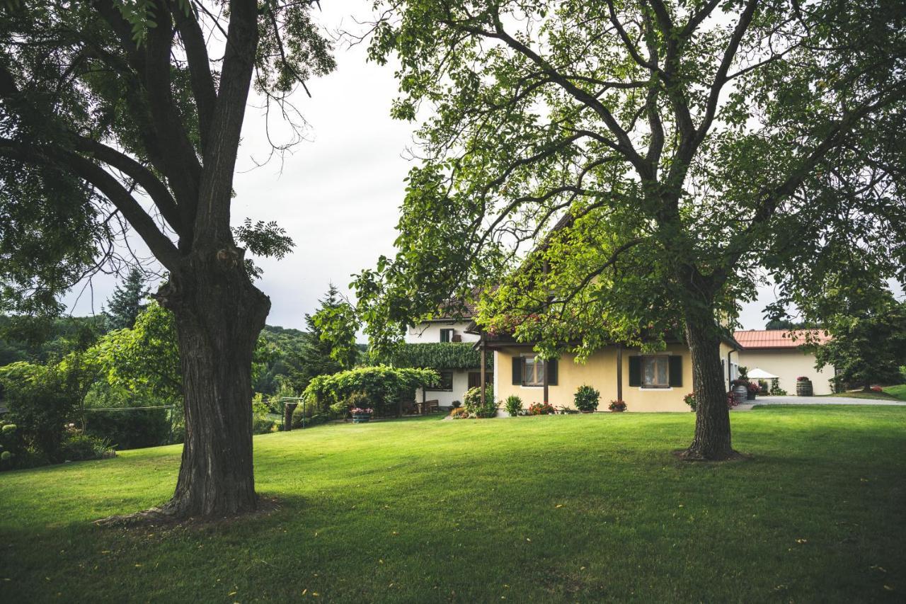 Wein & Gaestehof Erlacher Hartmannsdorf Buitenkant foto